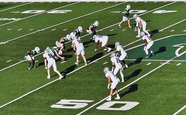 其队中年轻 其队中年轻