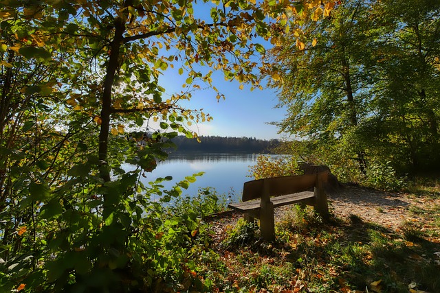 防守与反击 防守与反击