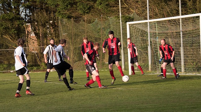 体能训练 体能训练